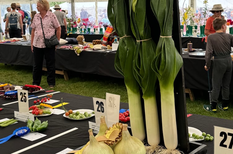 The collection of vegetables by David Hoare from North Tawton was again an outstanding and impressive winner. AQ 0652