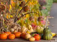 Festival of Flavours at RHS Garden Rosemoor
