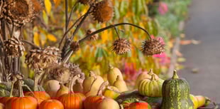 Festival of Flavours at RHS Garden Rosemoor
