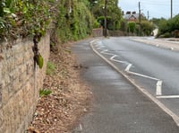 Crediton wheelchair user issues urgent appeal