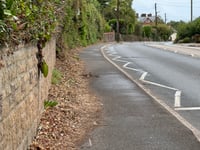 Crediton wheelchair user issues urgent appeal