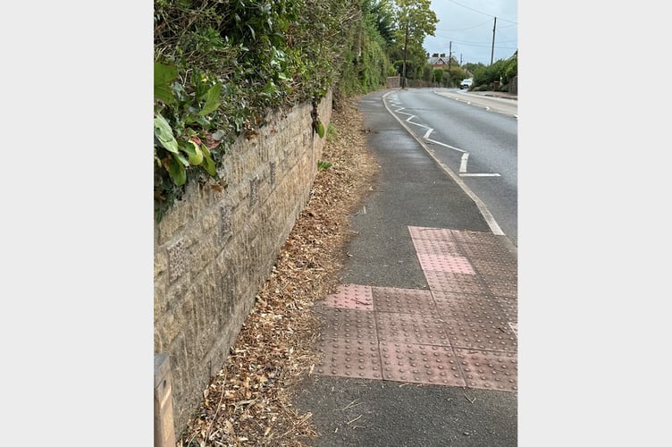 Where the hedge has been cut and debris left behind along Western Road. AQ 1278