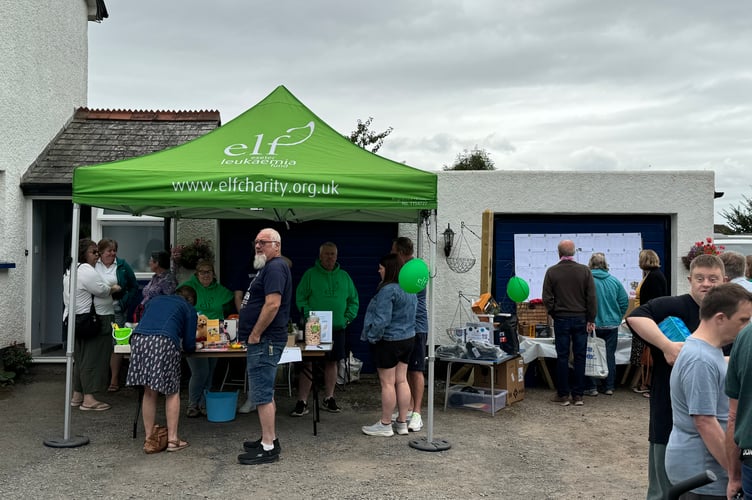 At the Crediton ELF Fundraising Group Summer Fete. AQ 1012