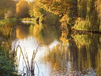 Strategic plan to shape Mid Devon’s future launched
