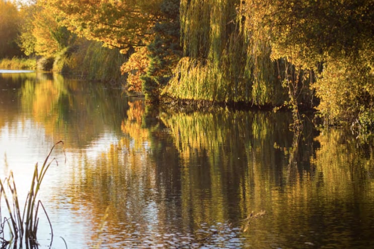 A view of the Tiverton Canal.