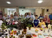 Sandford Summer Show a huge success