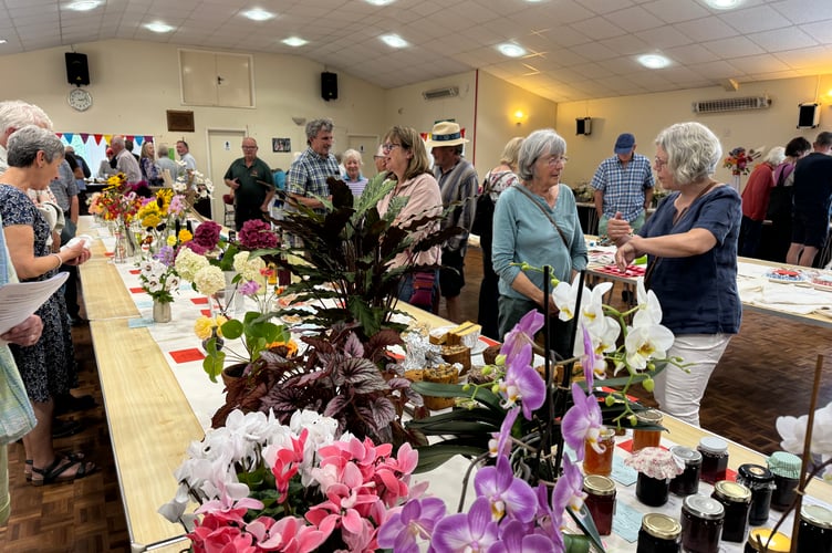 Tables full of colourful exhibits at Sandford Summer Show in Sandford Parish Hall. AQ 1506