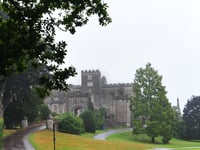 Powderham shuts petting zoo
