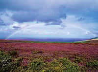 Exmoor Nature Festival photo competition launches
