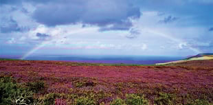 Exmoor Nature Festival photo competition launches
