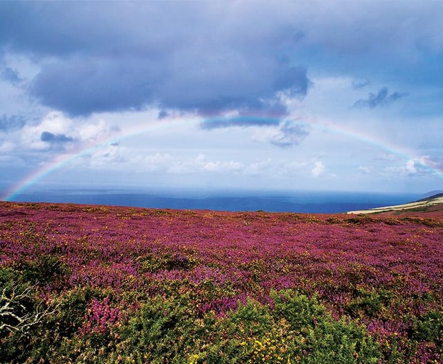 Exmoor Nature Festival photo competition launches
