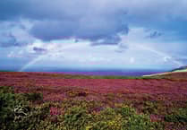 Exmoor Nature Festival photo competition launches