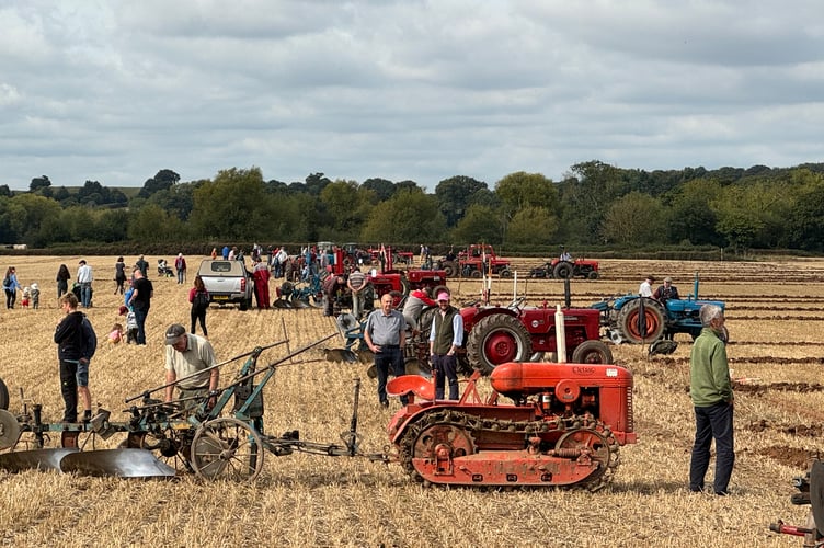 A view of part of the field in which ploughing took place.  AQ 2961
