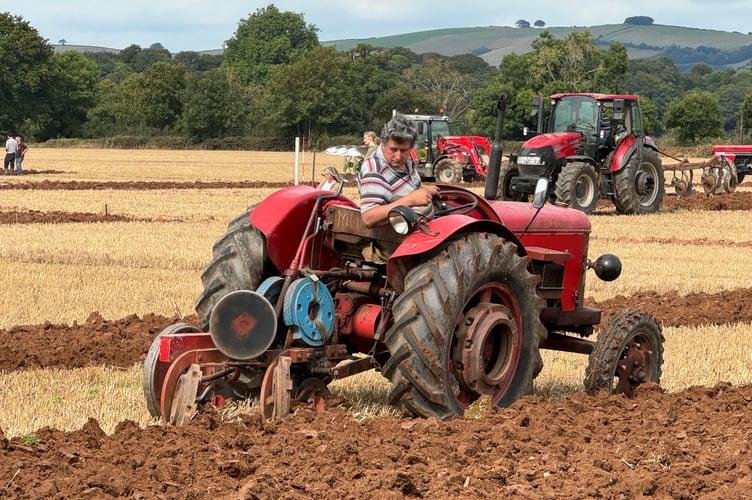 Concentrating hard while ploughing at Cheriton Fitzpaine match.  AQ 3044
