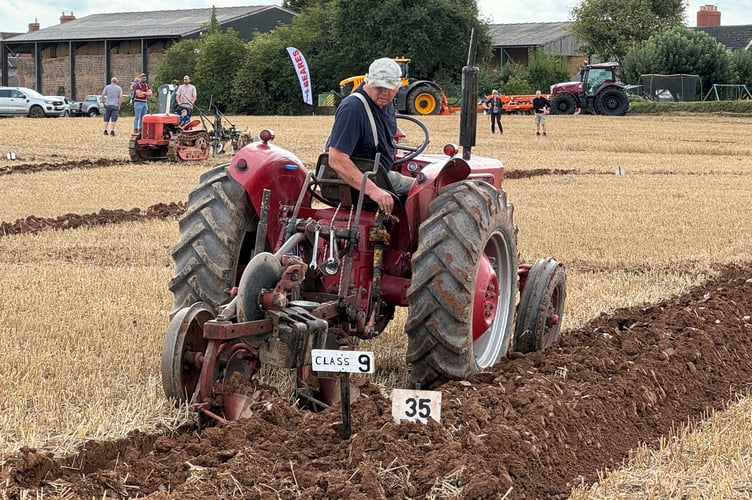 Keeping an eye on the ploughing.  AQ 2992