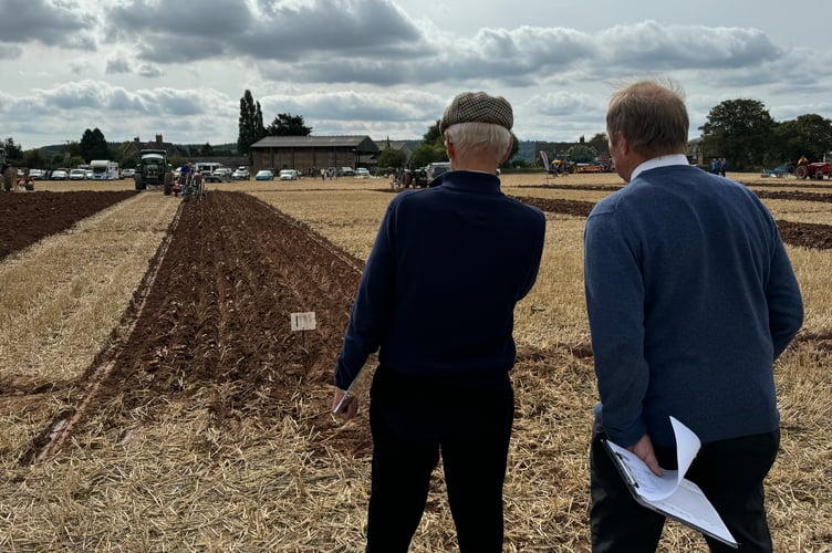 Judges take a look at the ploughing at the Cheriton Fitzpaine match. AQ 3057