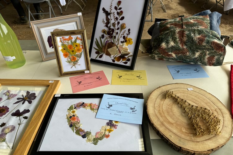 Some of the handicrafts in competitions at Cheriton Fitzpaine match. AQ 3083