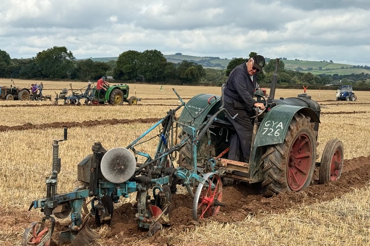 Keeping an eye on the ploughing.  AQ 2978