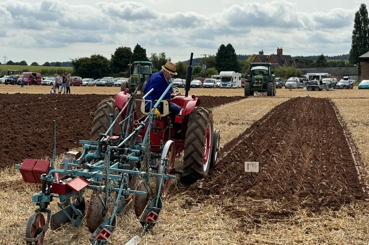 Trailed ploughing in action at Cheriton Fitzpaine match.  AQ 3053
