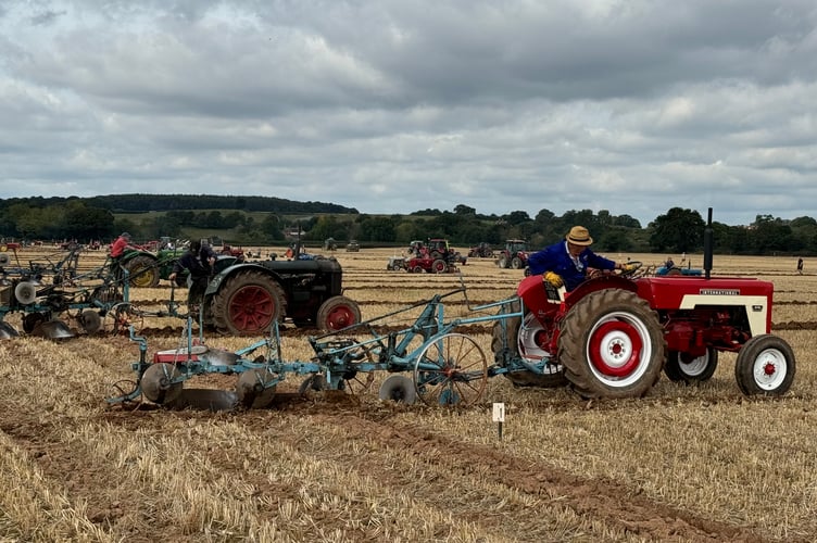 Plenty of tractors in action at the Cheriton Fitzpaine match. AQ 2975