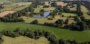 New licence sought for more events, alcohol at Shobrooke Park