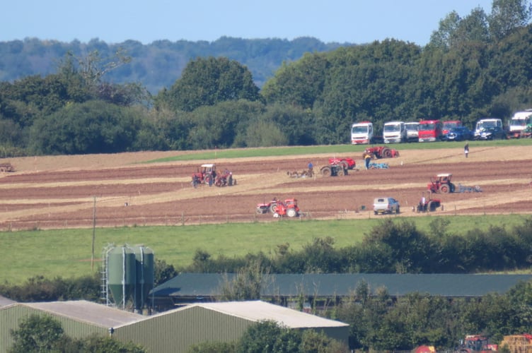 At Witheridge and District Ploughing Association’s annual Ploughing Match and Produce Show.
