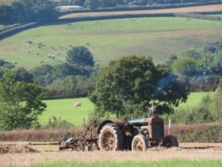 At Witheridge and District Ploughing Association’s annual Ploughing Match and Produce Show.
