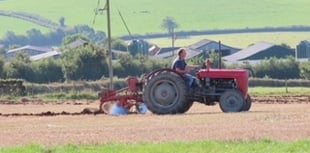 45 ploughmen competed at Witheridge match
