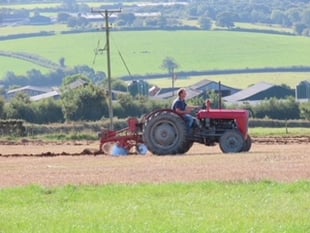 45 ploughmen competed at Witheridge match
