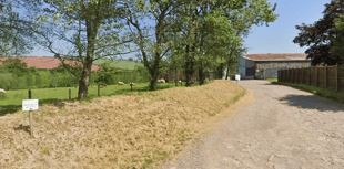 Green light for Creedy Carver dog-walking field plans