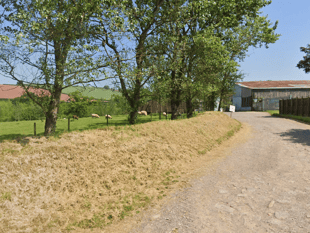 Green light for Creedy Carver dog-walking field plans