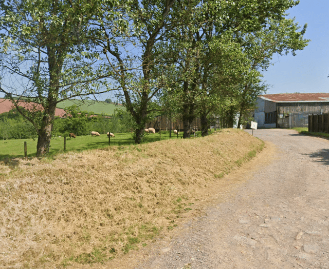 Green light for Creedy Carver dog-walking field plans