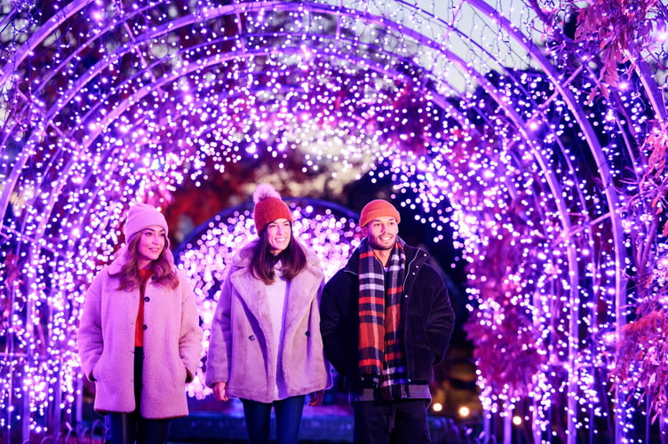 Marketing Images photographed at GLOW at RHS Garden Wisley, Surrey - Nov 2023