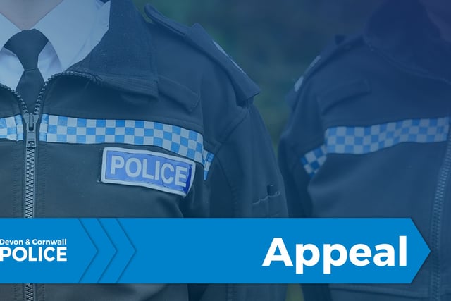 Police appeal after Okehampton assault
