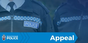 Police appeal after Chulmleigh quad bike theft
