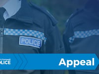 Police appeal after Okehampton assault
