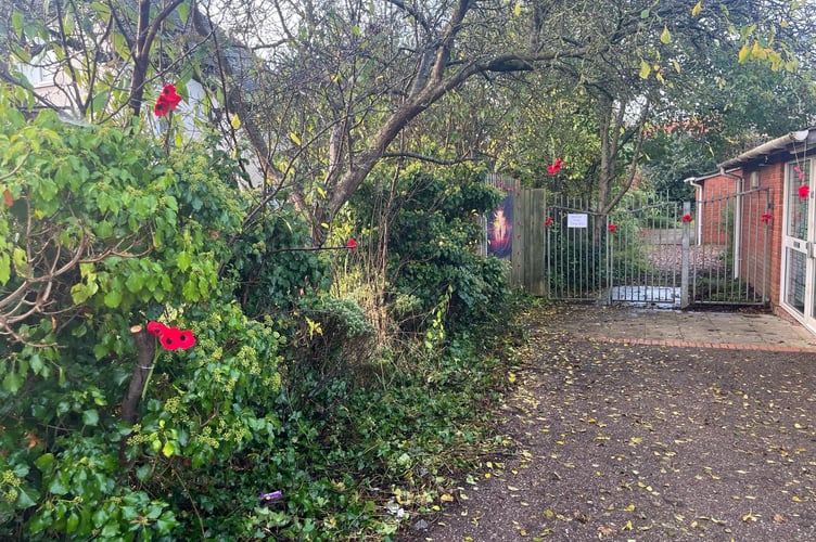 Poppies on the way to the Cadet HQ.