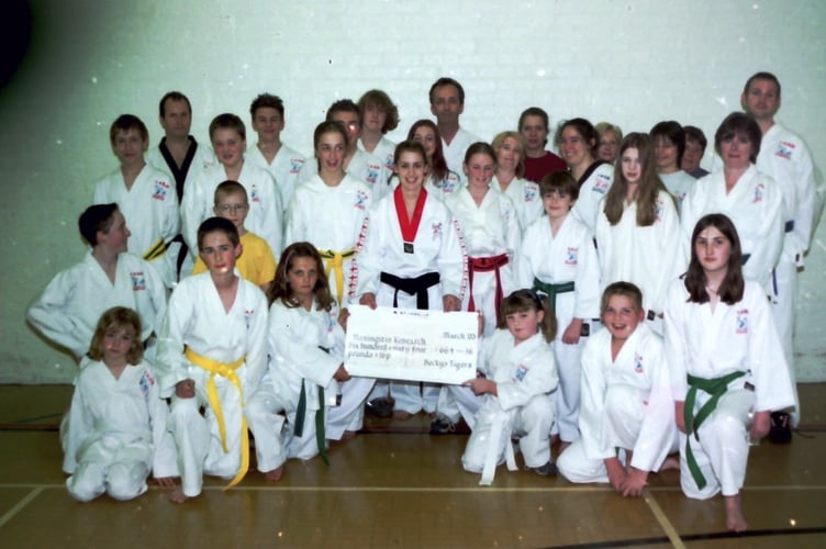 Becky Brooks' TaeKwon Tigers raised funds for Meningitis Research in April 2003. DSC01172