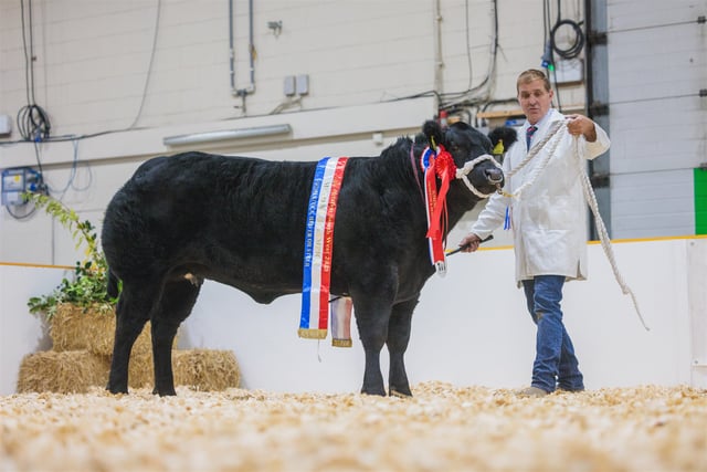Agrifest returns to Westpoint near Exeter
