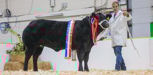Agrifest returns to Westpoint near Exeter
