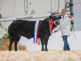 Agrifest returns to Westpoint near Exeter
