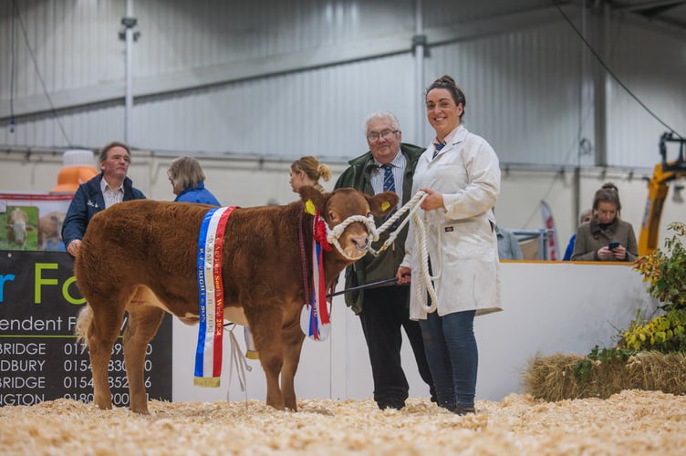 The Baby Beef Championship was won by P and L Calcraft's Limousin x heifer Toffee.
