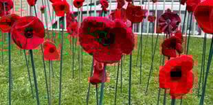 Crediton and Hamlets record for Poppy Appeal