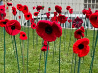 Crediton and Hamlets record for Poppy Appeal