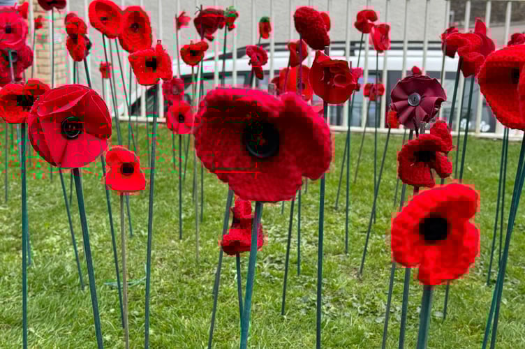 Some of the poppies made for the display.  AQ 7212