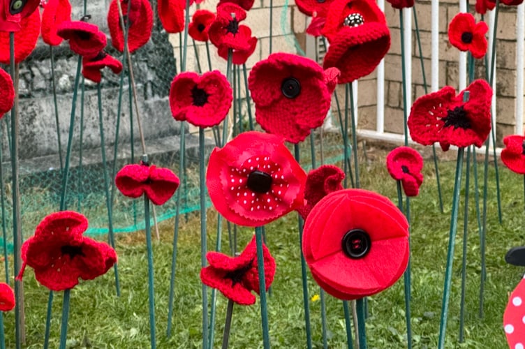 Some of the poppies made for the display.  AQ 7214
