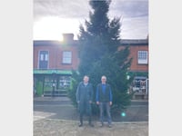 Giant 30ft tall tree now in place in Crediton Town Square
