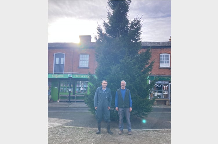 In front of the Town Square Christmas Tree after they put it in place, Roger Lee and Roger Pennington.
