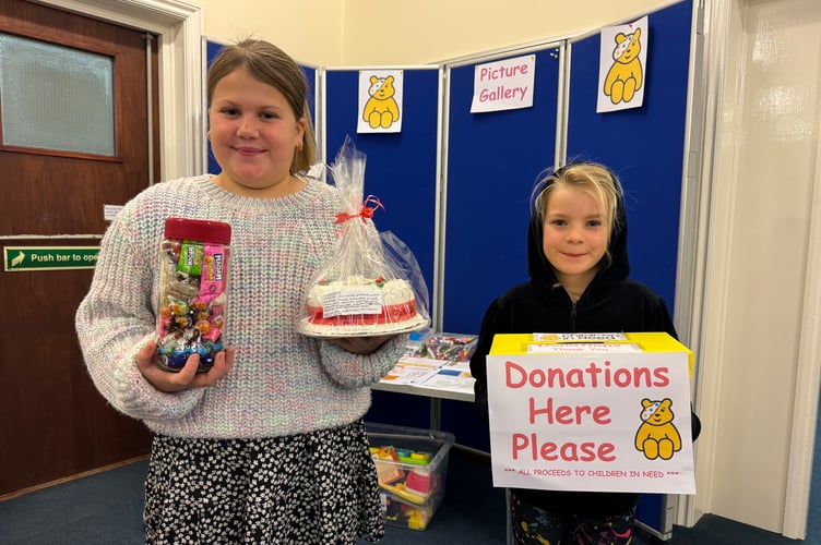 Two youngsters enjoyed Children in Need activities at Copplestone. AQ 7810