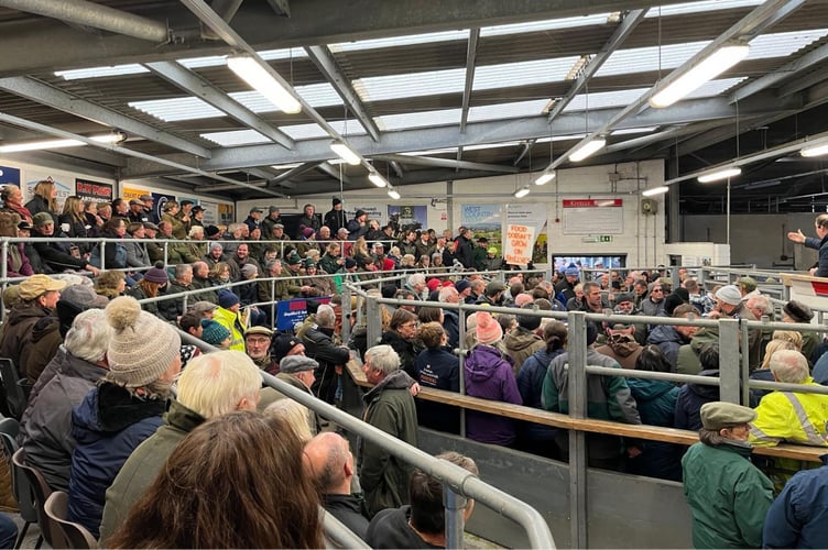 The protest attended by 500 at Holsworthy Livestock Market